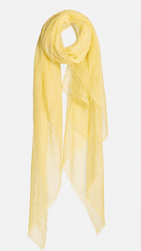 Elia Superfine Cashmere Scarf - Solis