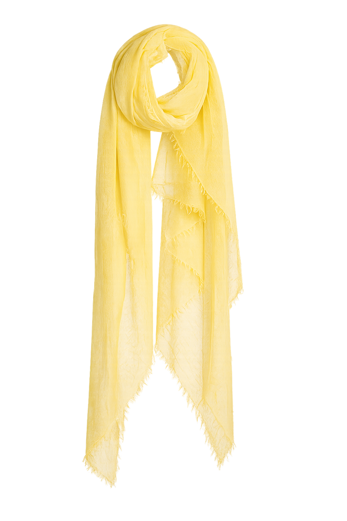 Elia Superfine Cashmere Scarf - Solis