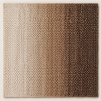 Lurex Ombré Cashmere Scarf