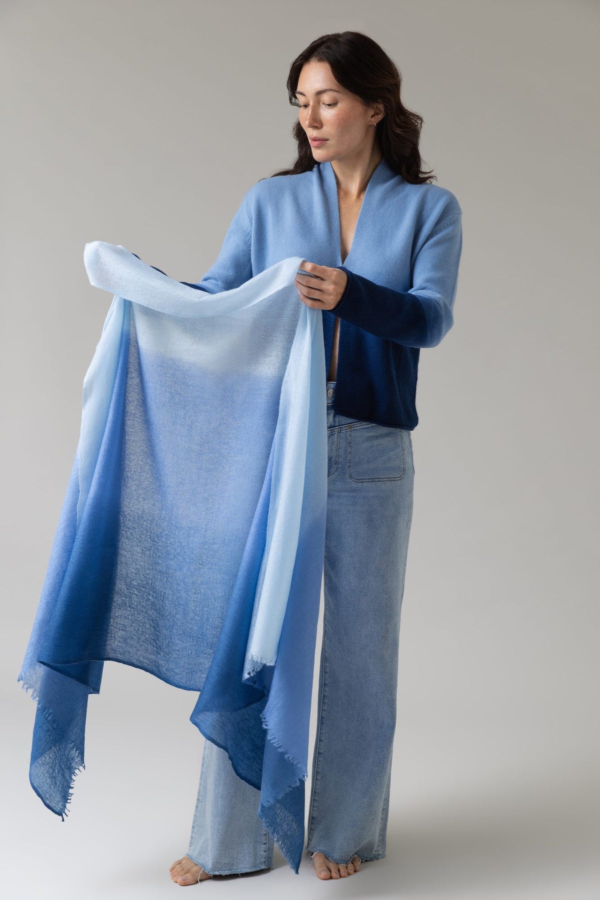 Aria Ombré Cashmere Scarf