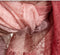red_desert